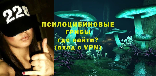 ALPHA PVP Покачи